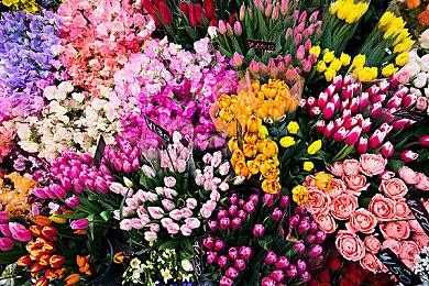 饭野贤治诞辰55周年纪念活动 真3D游戏开山制作人